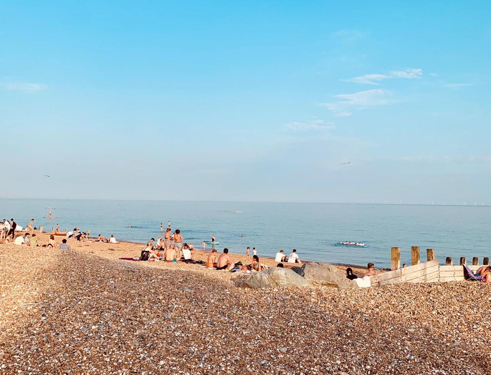 Birdsong & Pine: Parking & Garden Lägenhet Worthing Exteriör bild